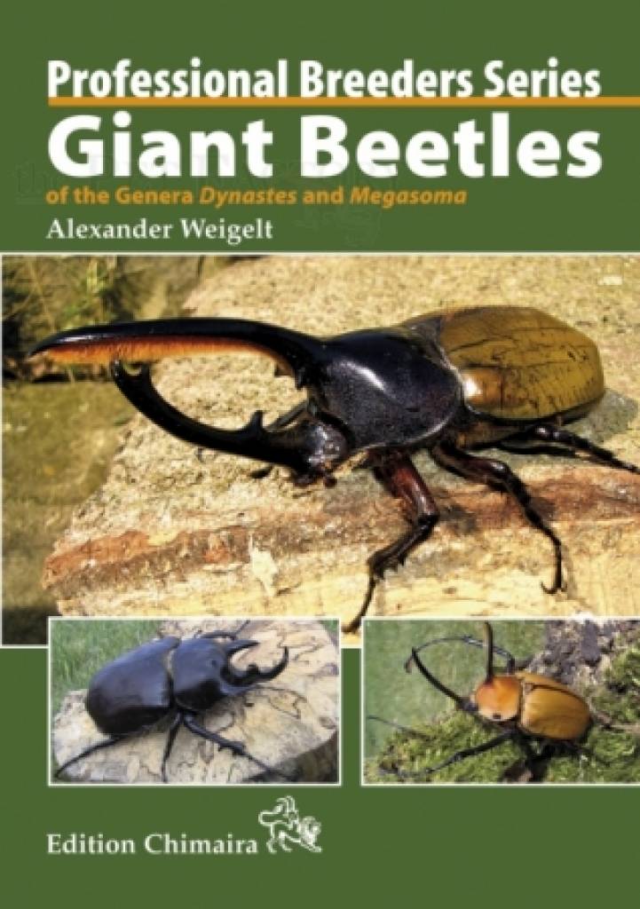 Giant Beetles of the Genera Dynastes and Megasoma